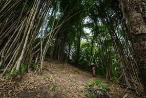 BIB: 
                            <button type="button" onclick="openModal(19395871)" class="btn btn-primary btn-sm float-right btn-popup" data-toggle="modal" data-target=".modal-high-quality">
                        <i class="fas fa-shopping-cart"></i> Add to Cart
                    </button>
                                            <button type="button" onclick="isThisMe(19395871, true)" class="btn btn-success btn-sm float-right btn-popup btn-isme hidden" data-toggle="tooltip" data-placement="bottom" title="นี่คือรูปของคุณใช่ไหม คลิกที่นี่เพื่อเอาเข้าอัลบั้ม">
                        <i class="fas fa-plus"></i> Add to album
                    </button>
                    <button type="button" onclick="isThisMe(19395871, false)" class="btn btn-warning btn-sm float-right btn-popup btn-isnotme hidden">
                        <i class="fas fa-ban"></i> Remove from album
                    </button>